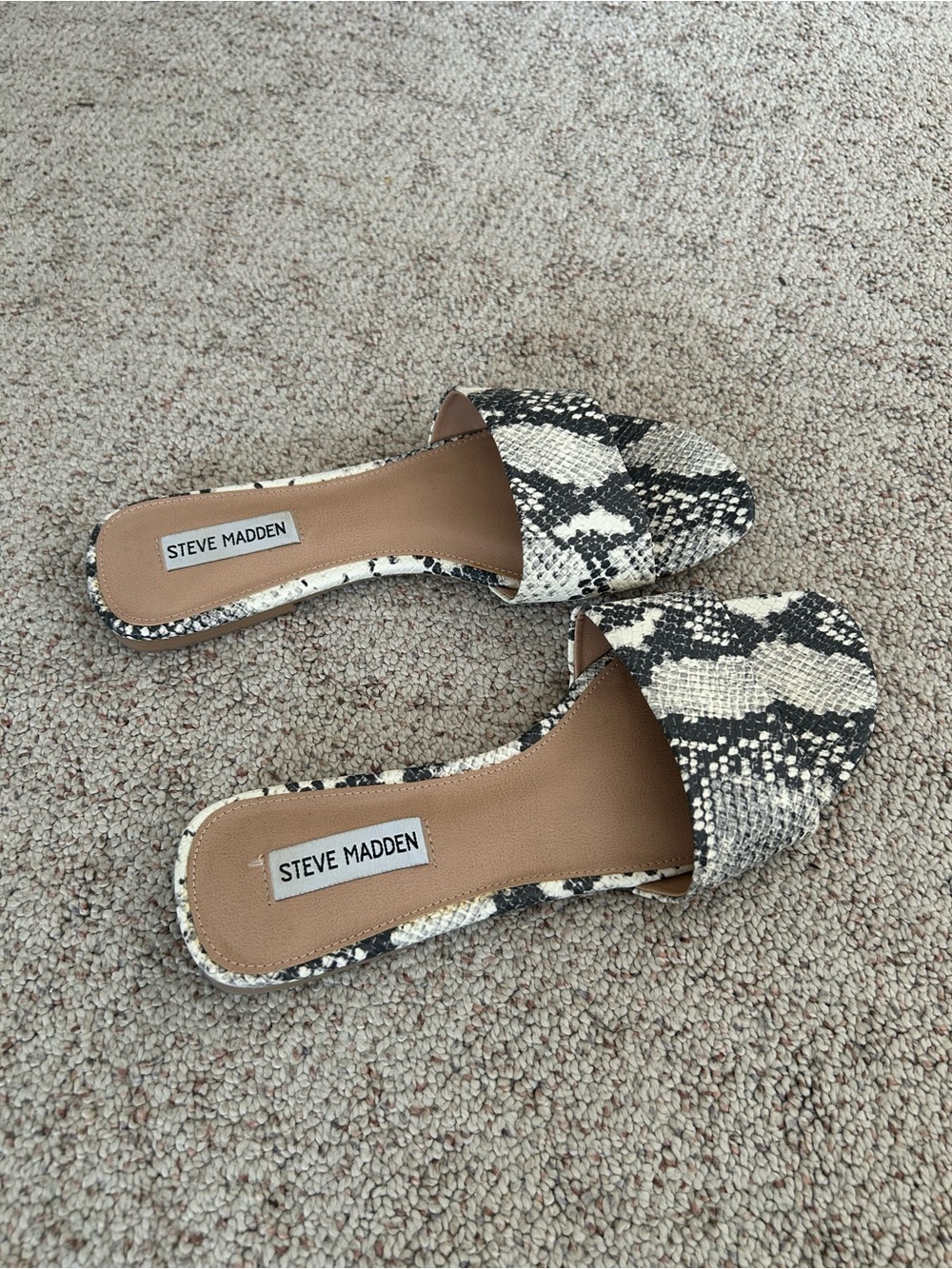 Steve Madden Snake-Print Slide Mules in Black and Cream